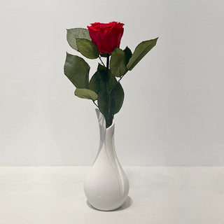 BELLA – WHITE BUD VASE