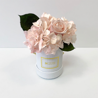 PETITE – HYDRANGÉE BLUSH | HYDRANGEA BLUSH