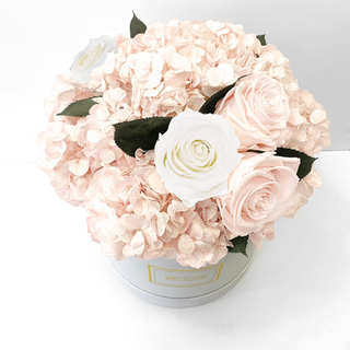 LE CHAPEAU – HYDRANGÉE BLUSH | HYDRANGEA BLUSH