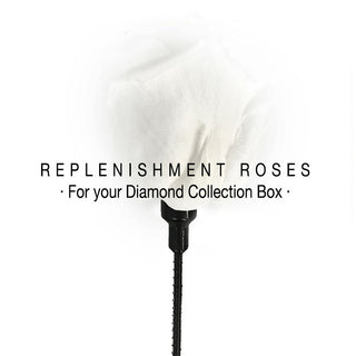 ROSE REPLENISHMENT PROGRAM | Price per | My Eternal Rose