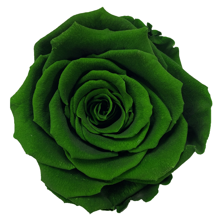 Emerald Green - MFLEURSMTL