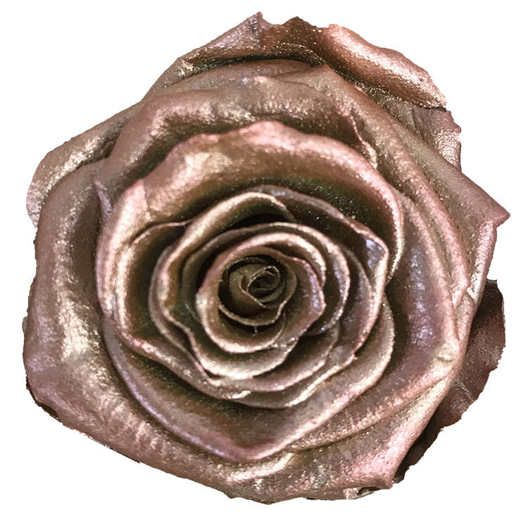 Metallic Rose Gold - Specialty - MFLEURSMTL